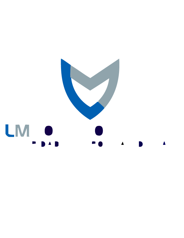 LM Soluciones.MX